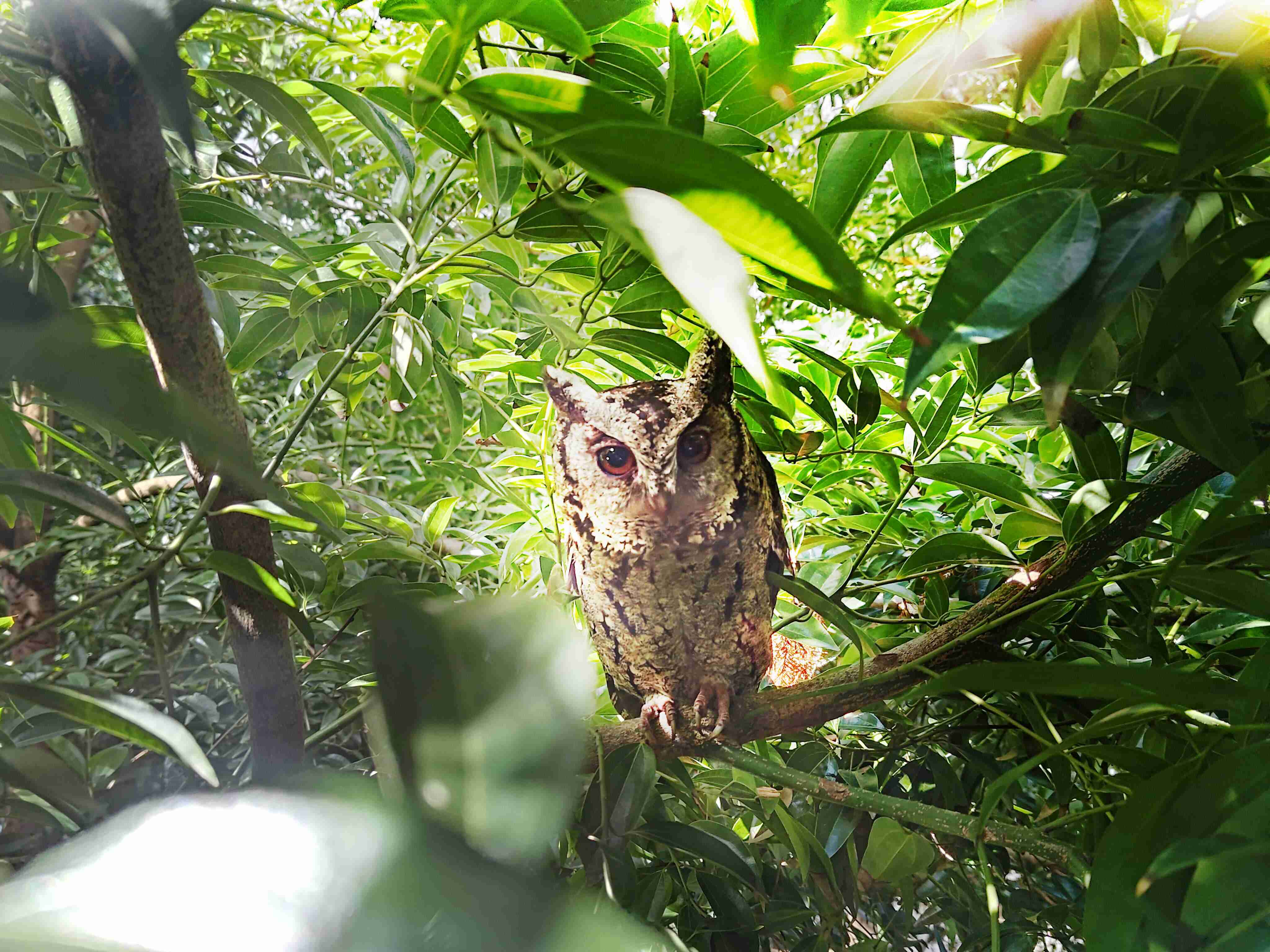 918.COM致力提倡净零绿生活，，，，16年以来在全球各厂区植树逾百万棵，，，造就各厂区树木蔚然成林，，，犹如森林工厂，，，，成为许多生物的栖息地